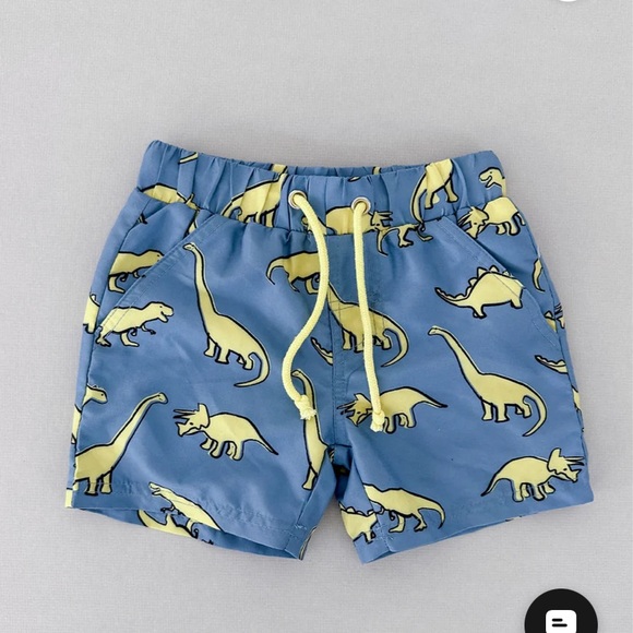 Taylor Joelle/ Rosie Beach Swimwear Boy’s Dino Shorts - Picture 5 of 6